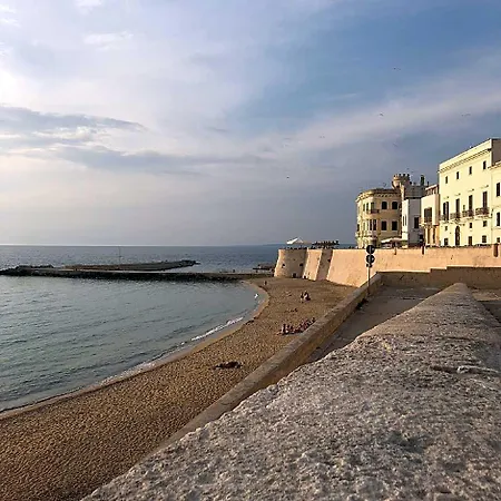 Palazzo Flora Casa de hóspedes Gallipoli
